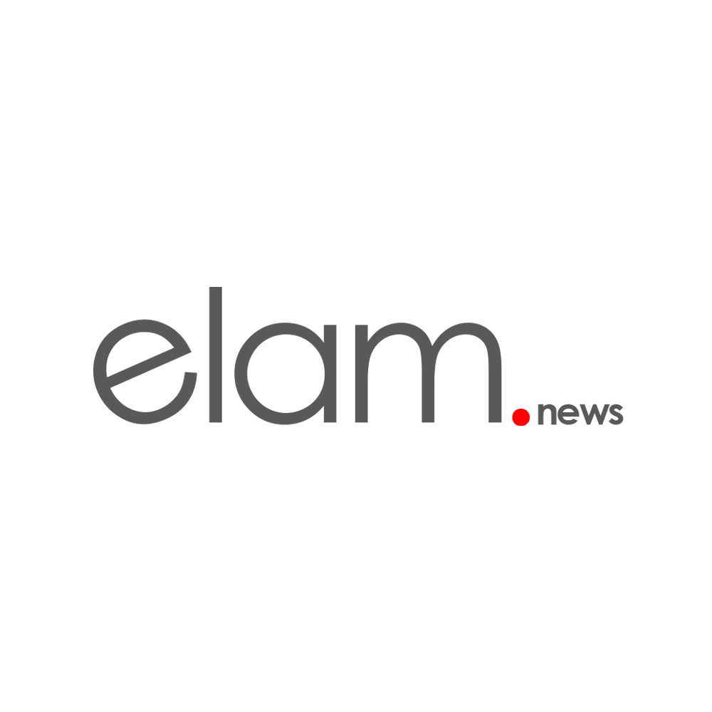 Logo Design-Elam News- Elstudio portfolio-Color