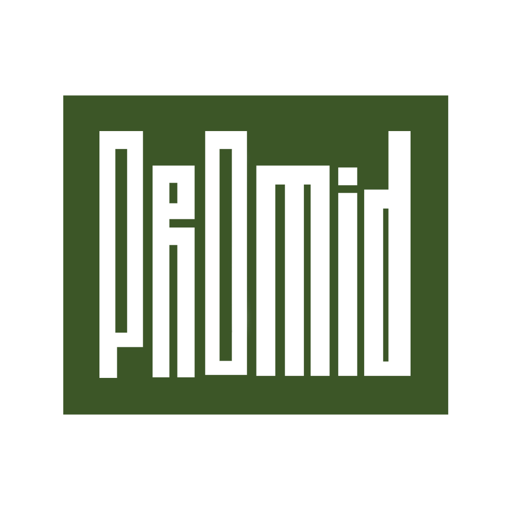 Logo Design-Promid - Elstudio portfolio-Color